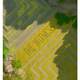 Illustration for article titled This Isn’t the Box Art of the Next Game from the Creator of emBraid/em